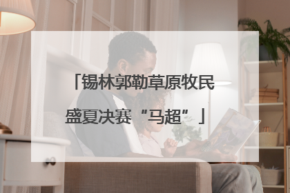 锡林郭勒草原牧民盛夏决赛“马超”