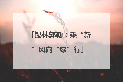 锡林郭勒：乘“新”风向“绿”行