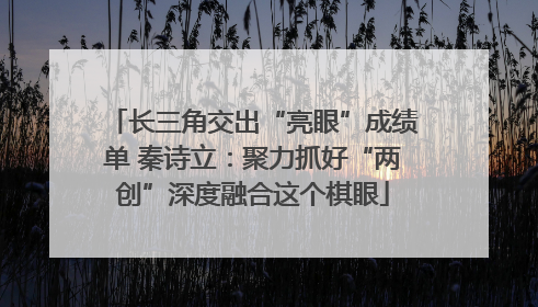 长三角交出“亮眼”成绩单 秦诗立：聚力抓好“两创”深度融合这个棋眼