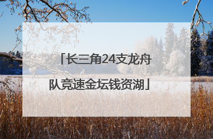 长三角24支龙舟队竞速金坛钱资湖
