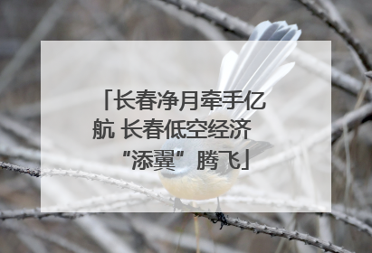 长春净月牵手亿航 长春低空经济“添翼”腾飞
