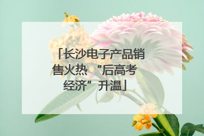 长沙电子产品销售火热 “后高考经济”升温