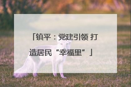 镇平：党建引领 打造居民“幸福里”