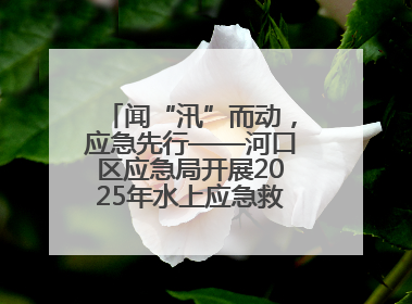 闻“汛”而动，应急先行——河口区应急局开展2025年水上应急救援实战演练
