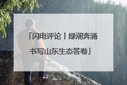 闪电评论丨绿潮奔涌 书写山东生态答卷