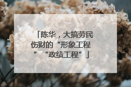 陈华，大搞劳民伤财的“形象工程”“政绩工程”