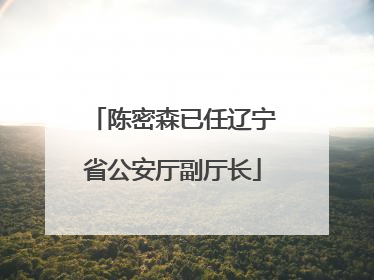 陈密森已任辽宁省公安厅副厅长