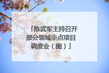 陈武军主持召开部分领域重点项目调度会（图）