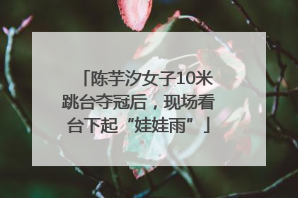 陈芋汐女子10米跳台夺冠后，现场看台下起“娃娃雨”
