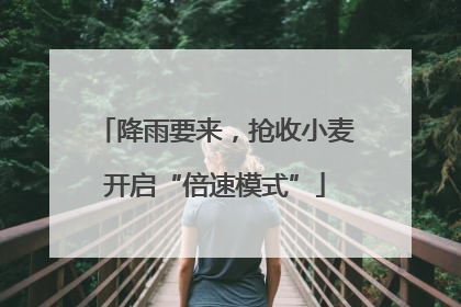 降雨要来，抢收小麦开启“倍速模式”