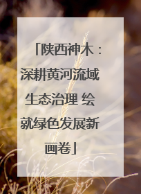 陕西神木：深耕黄河流域生态治理 绘就绿色发展新画卷