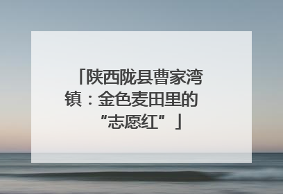 陕西陇县曹家湾镇：金色麦田里的“志愿红”