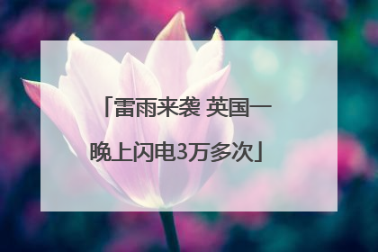 雷雨来袭 英国一晚上闪电3万多次