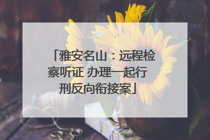 雅安名山：远程检察听证 办理一起行刑反向衔接案