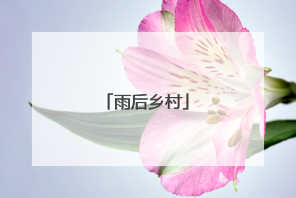 雨后乡村