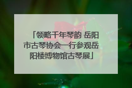 领略千年琴韵 岳阳市古琴协会一行参观岳阳楼博物馆古琴展
