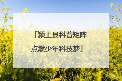 颍上县科普矩阵点燃少年科技梦