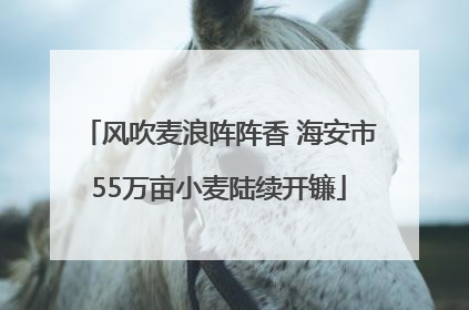 风吹麦浪阵阵香 海安市55万亩小麦陆续开镰