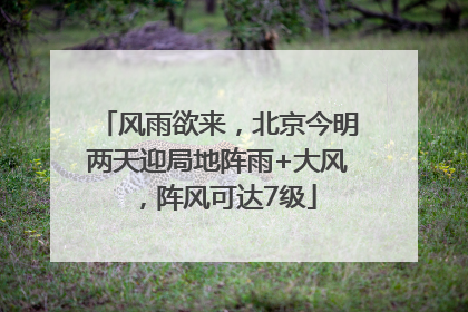风雨欲来，北京今明两天迎局地阵雨+大风，阵风可达7级