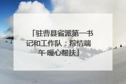 驻曹县省派第一书记和工作队：粽情端午·暖心帮扶