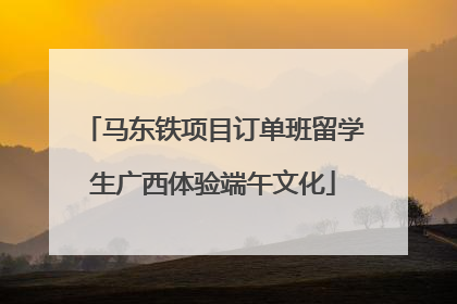 马东铁项目订单班留学生广西体验端午文化