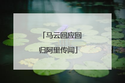 马云回应回归阿里传闻
