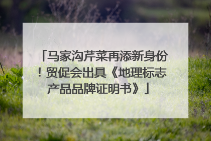 马家沟芹菜再添新身份！贸促会出具《地理标志产品品牌证明书》