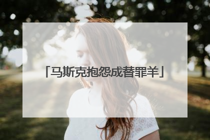 马斯克抱怨成替罪羊