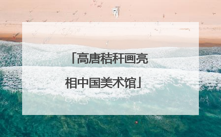 高唐秸秆画亮相中国美术馆