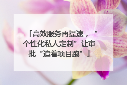 高效服务再提速，“个性化私人定制”让审批“追着项目跑”