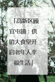 高新区顾官屯镇：供销大食堂开启老年人幸福生活