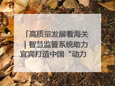 高质量发展看海关｜智慧监管系统助力宜宾打造中国“动力电池之都”
