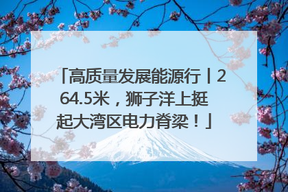 高质量发展能源行丨264.5米，狮子洋上挺起大湾区电力脊梁！