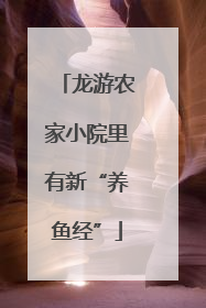 龙游农家小院里有新“养鱼经”