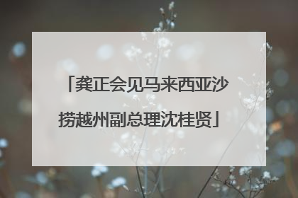 龚正会见马来西亚沙捞越州副总理沈桂贤