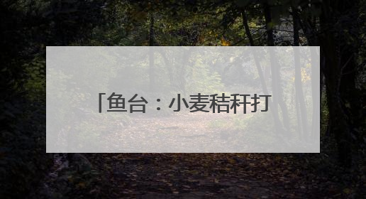 鱼台：小麦秸秆打捆离田综合利用