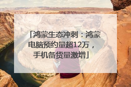 鸿蒙生态冲刺：鸿蒙电脑预约量超12万，手机备货量激增