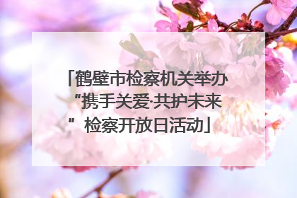 鹤壁市检察机关举办“携手关爱·共护未来”检察开放日活动