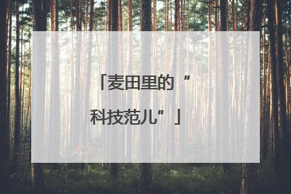 麦田里的“科技范儿”
