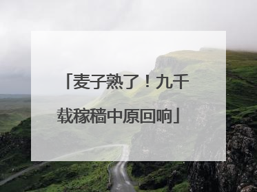 麦子熟了！九千载稼穑中原回响