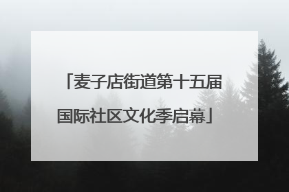 麦子店街道第十五届国际社区文化季启幕