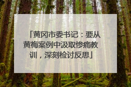 黄冈市委书记：要从黄梅案例中汲取惨痛教训，深刻检讨反思