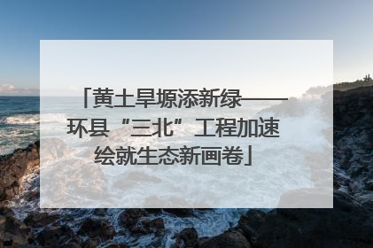 黄土旱塬添新绿——环县“三北”工程加速绘就生态新画卷