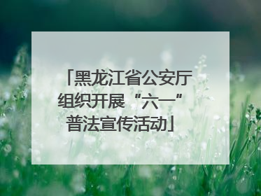 黑龙江省公安厅组织开展“六一”普法宣传活动