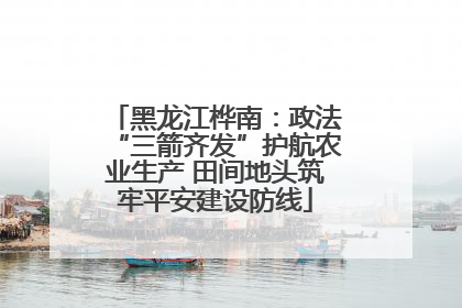 黑龙江桦南：政法“三箭齐发”护航农业生产 田间地头筑牢平安建设防线
