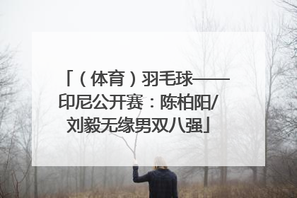 （体育）羽毛球——印尼公开赛：陈柏阳/刘毅无缘男双八强