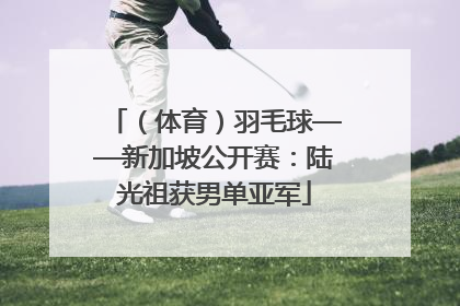 （体育）羽毛球——新加坡公开赛：陆光祖获男单亚军