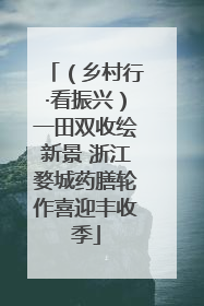 （乡村行·看振兴）一田双收绘新景 浙江婺城药膳轮作喜迎丰收季