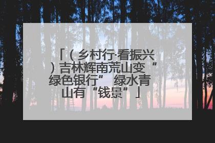（乡村行·看振兴）吉林辉南荒山变“绿色银行” 绿水青山有“钱景”