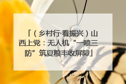 （乡村行·看振兴）山西上党：无人机“一喷三防”筑夏粮丰收屏障
